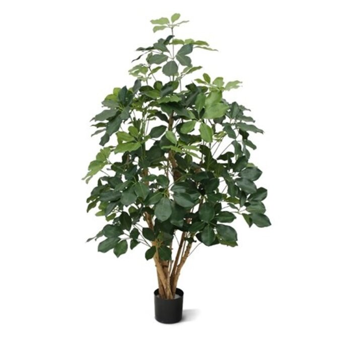 Schefflera Exotica kunstplant 120cm - FR - brandvertragend Schefflera Exotica kunstplant 120cm - FR - brandvertragend
