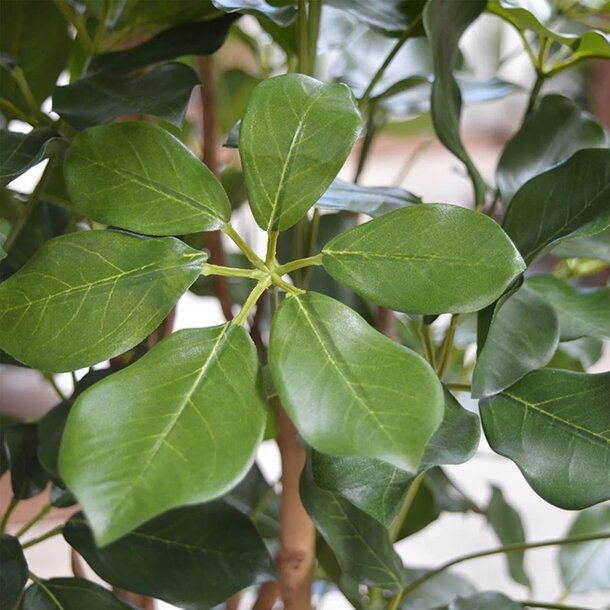 Schefflera Exotica kunstplant 120cm - FR - brandvertragend
