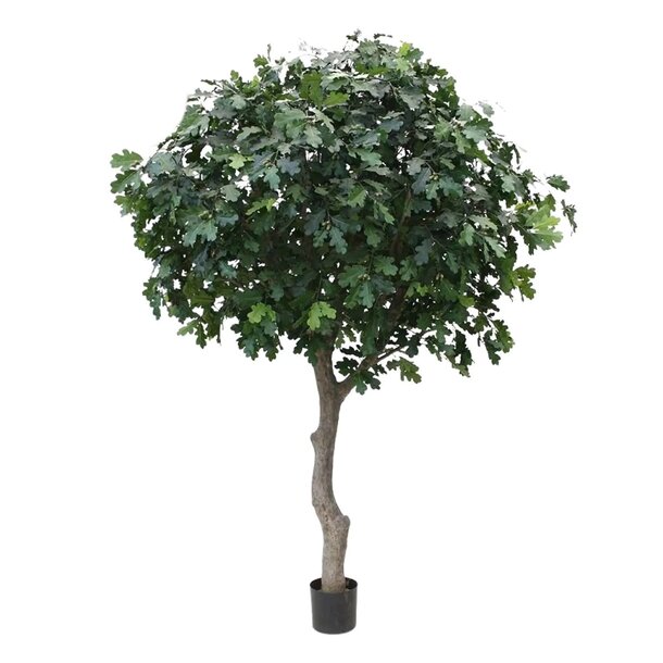 Eikenboom Giant deluxe kunstboom 295cm  FR - brandvertragend