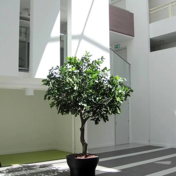 Eikenboom Giant deluxe kunstboom 295cm  FR - brandvertragend