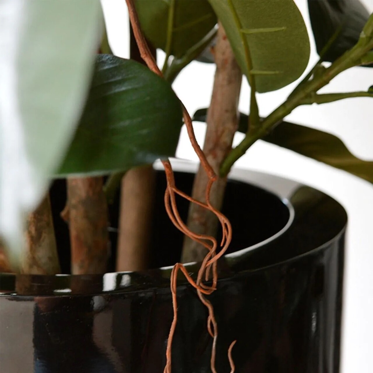 Elastica Robusta kunstplant 90cm - FR - brandvertragend