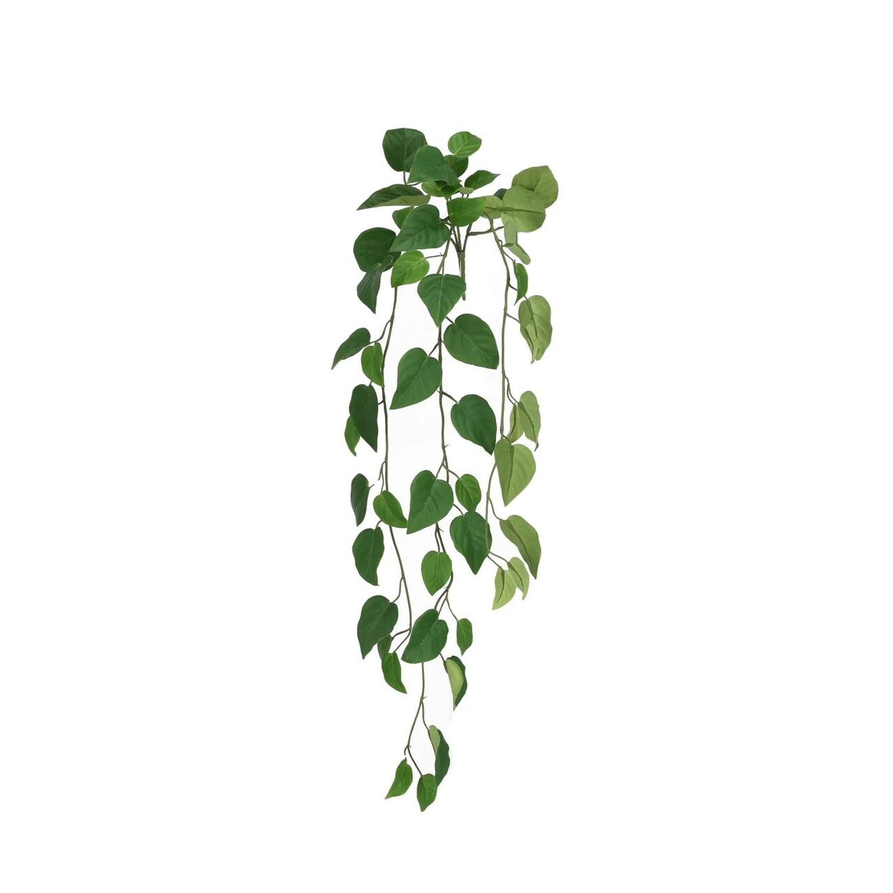 Philodendron hangplant 85cm FR