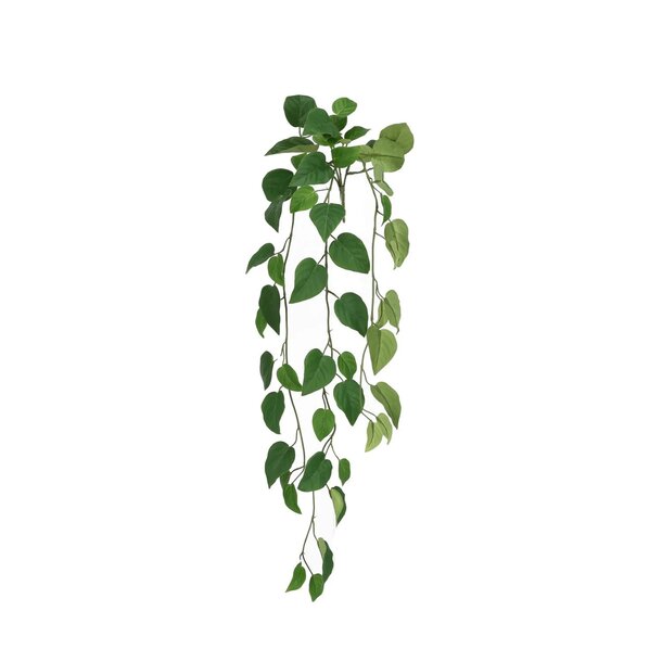 Philodendron hangplant 85cm FR