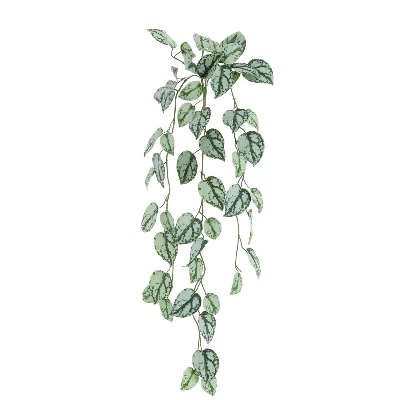 Scindapsus Trebie Hanger 85cm FR