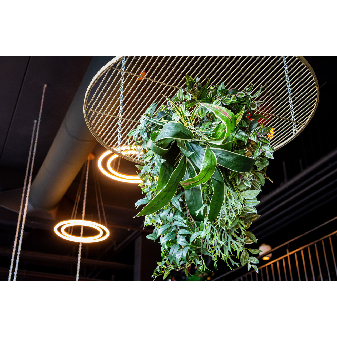 High-end custom planten-plafond FR