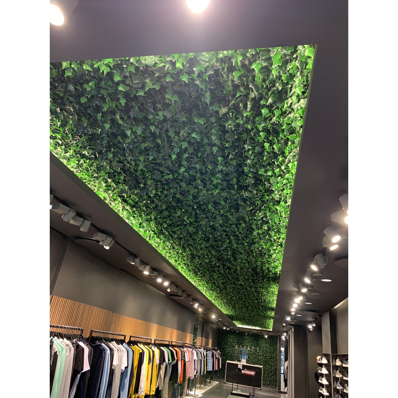 High-end custom planten-plafond FR