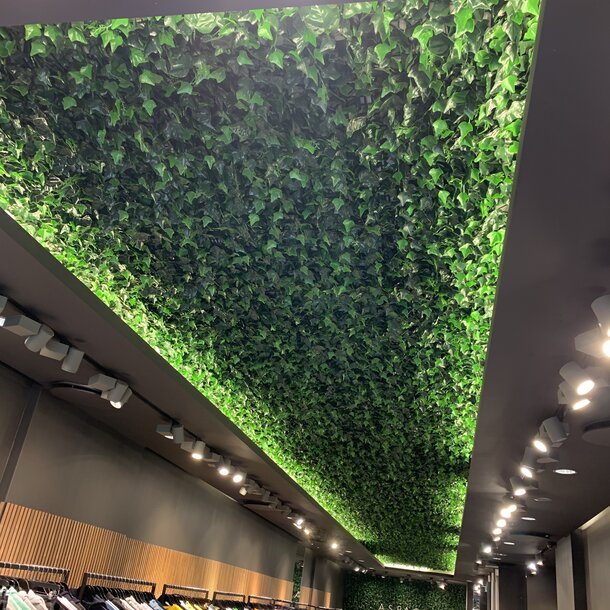High-end custom planten-plafond FR