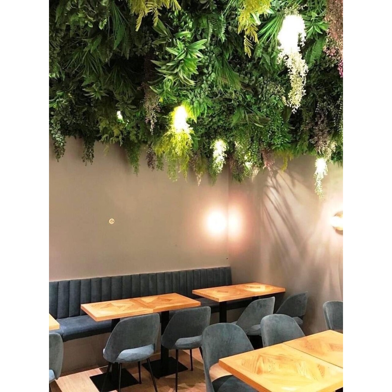 High-end custom planten-plafond FR