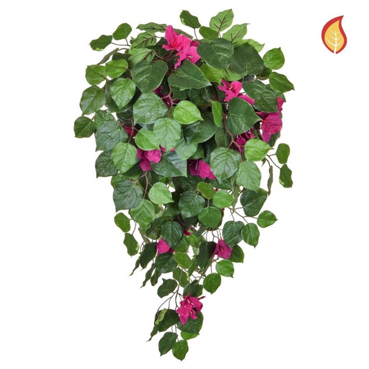Bougainvillea rose 100 cm FR