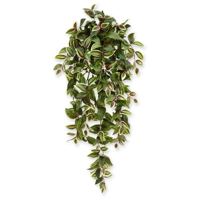 Tradescantia Tradescantia kunst hangplant 100 cm bont