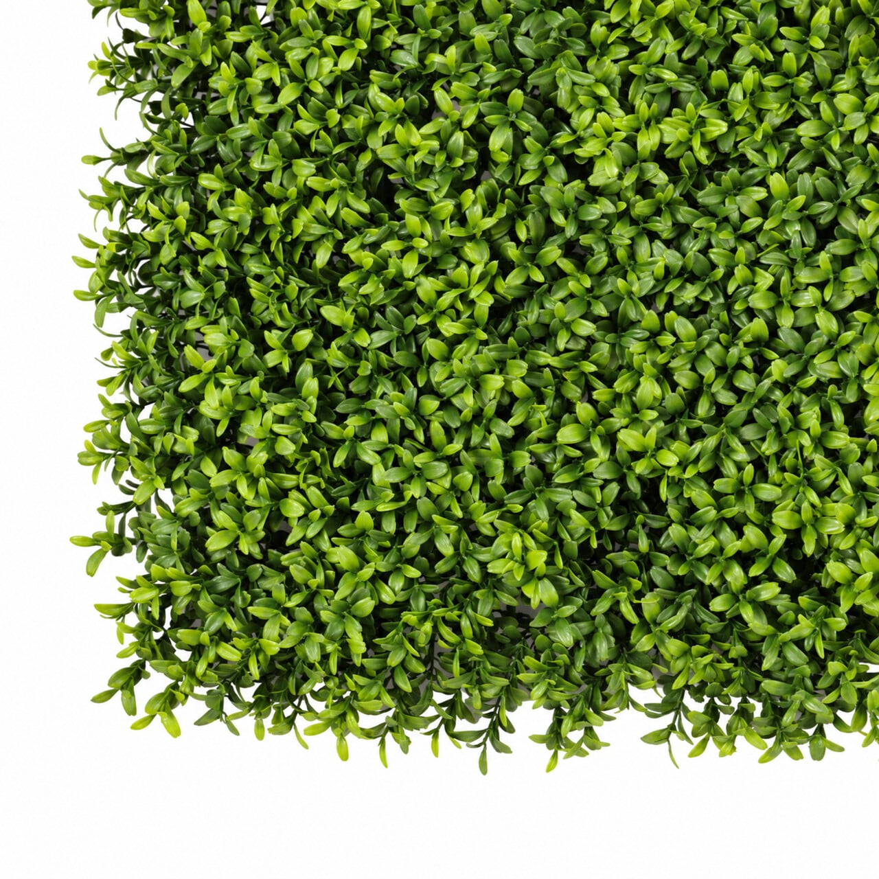 Buxus kunsthaag per m² – brandvertragend & UV-bestendig