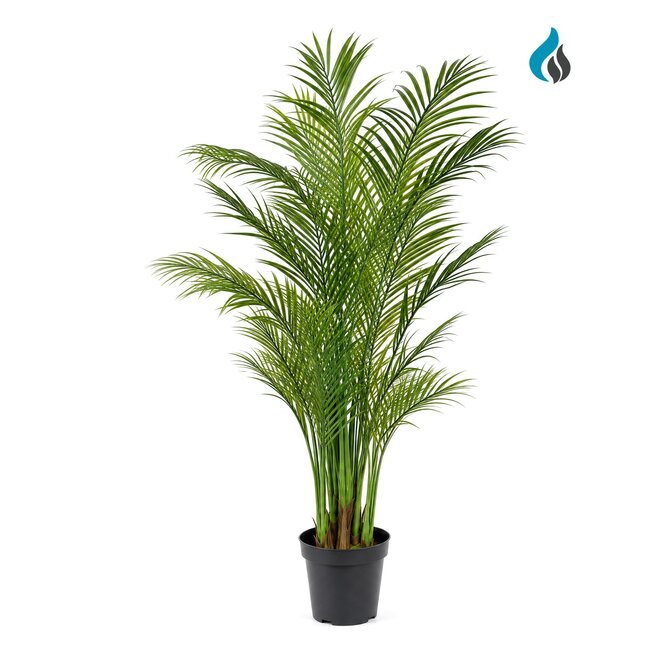 Kunst Palm Areca 180 cm FR