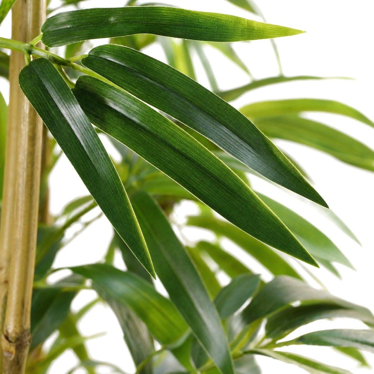 Bamboe kunstplant 210 cm – brandvertragend