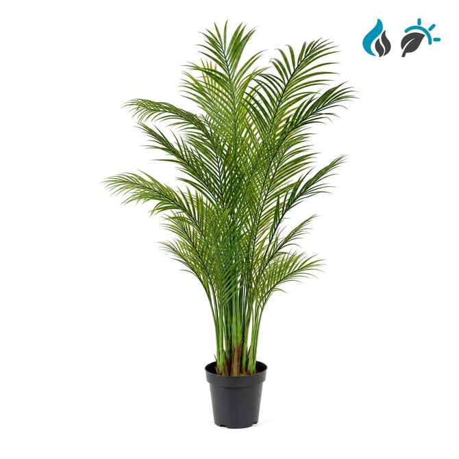 Coolplant Areca kunstpalm 180 cm – brandvertragend & UV-resistent