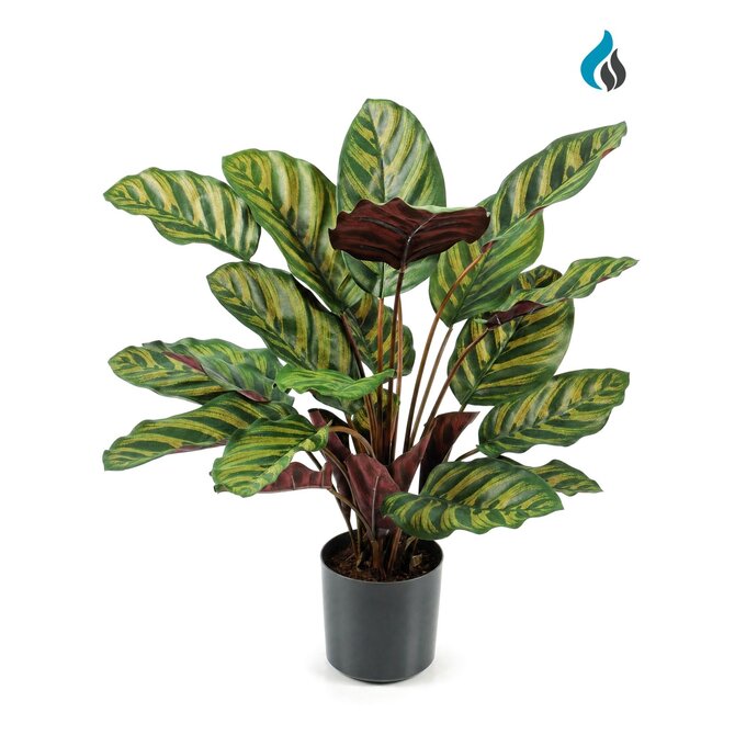 Coolplant Calathea Makoyana kunstplant 58 cm – brandvertragend