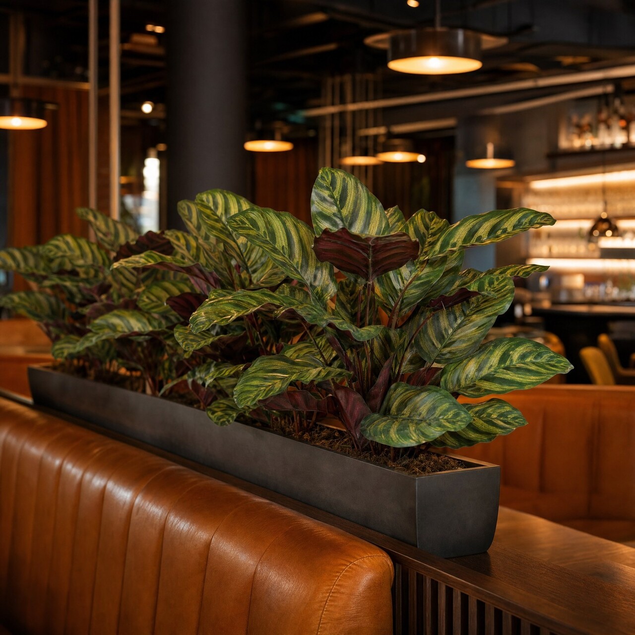 Calathea Makoyana kunstplant 58 cm – brandvertragend
