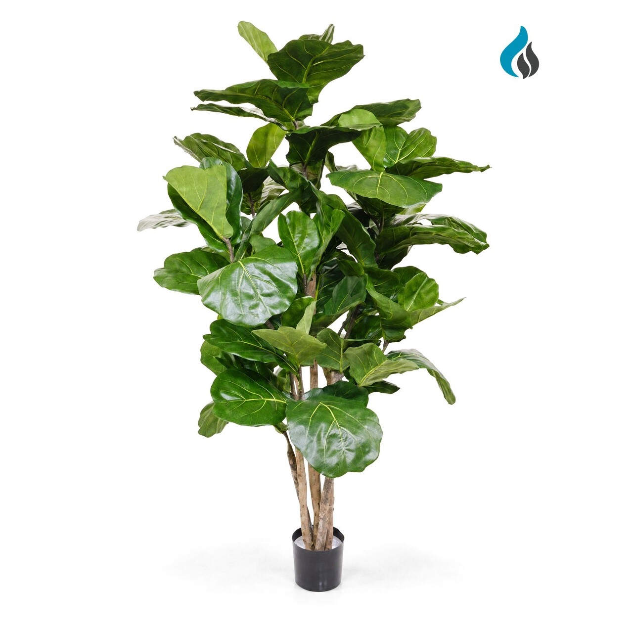 Ficus Lyrata kunstplant 170 cm – brandvertragend