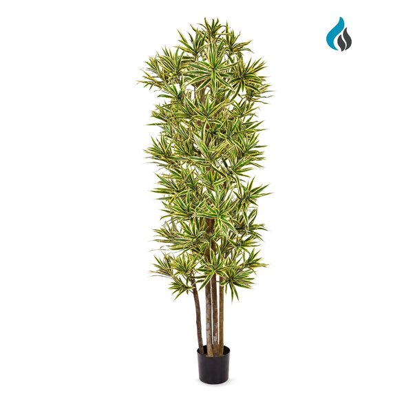 Coolplant Dracaena Song of India kunstplant 180 cm – brandvertragend