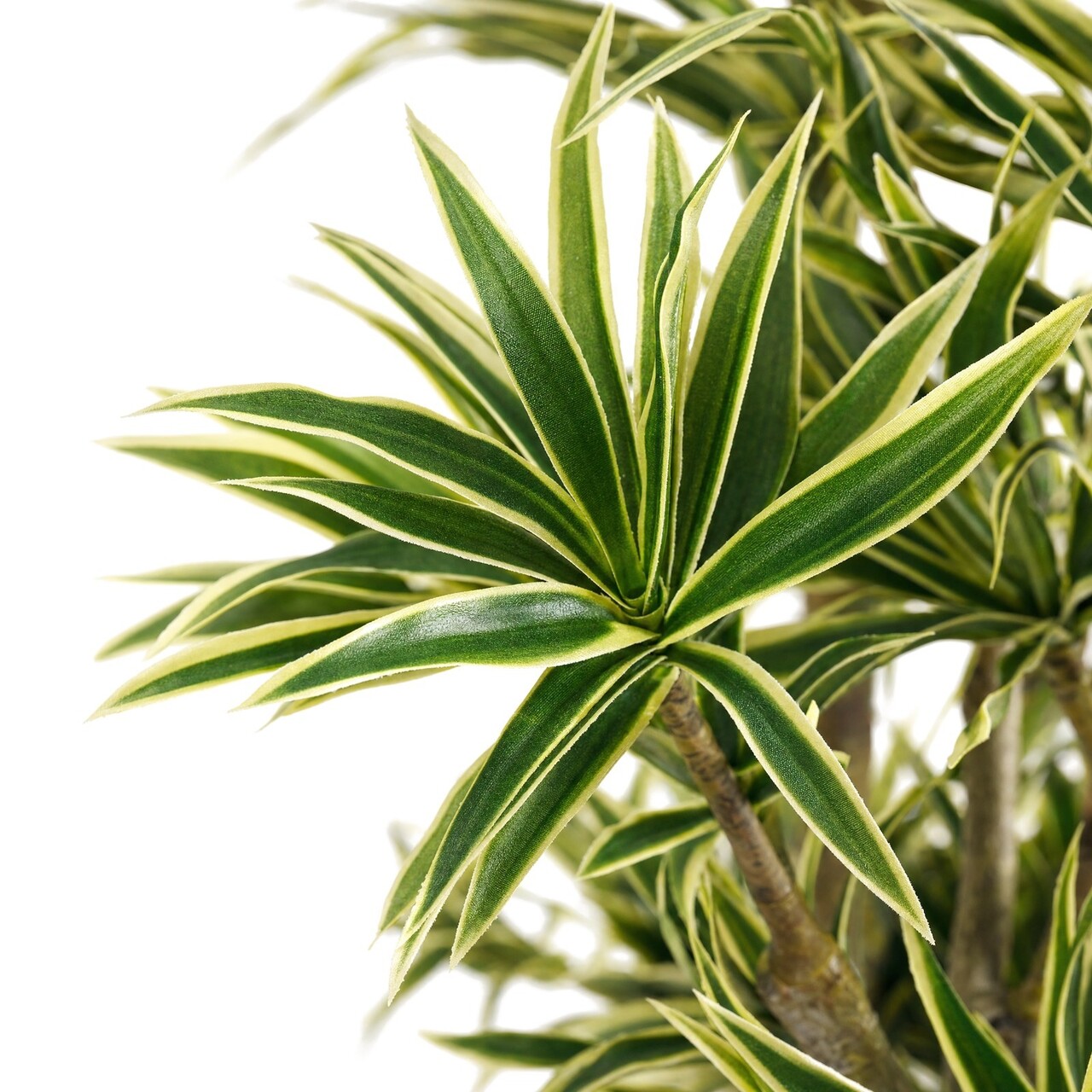 Dracaena Song of India kunstplant 180 cm – brandvertragend