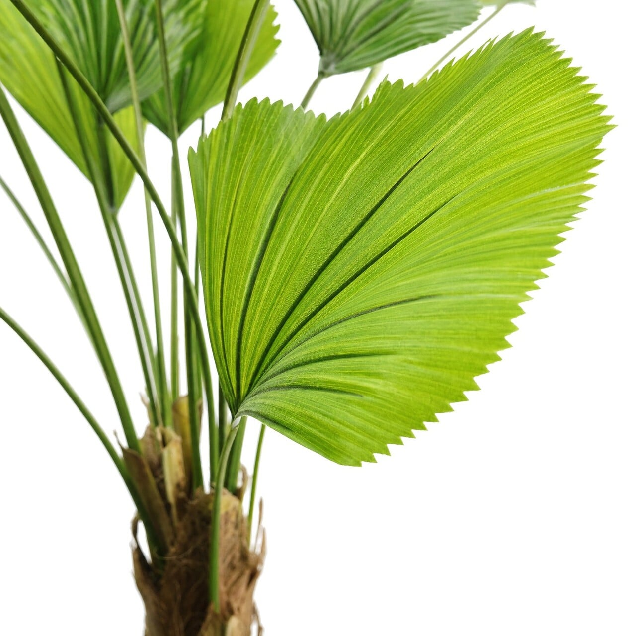 Licuala Grandis kunstpalm 200 cm – brandvertragend