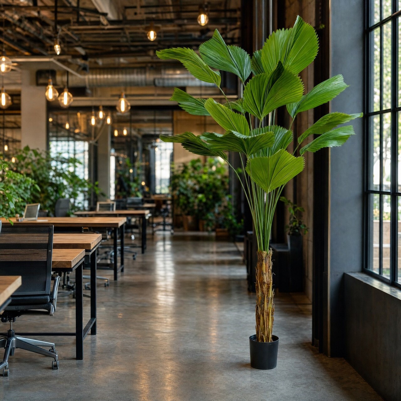 Licuala Grandis kunstpalm 200 cm – brandvertragend