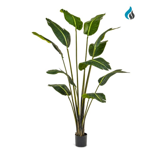 Coolplant Strelitzia kunstplant 180 cm – brandvertragend