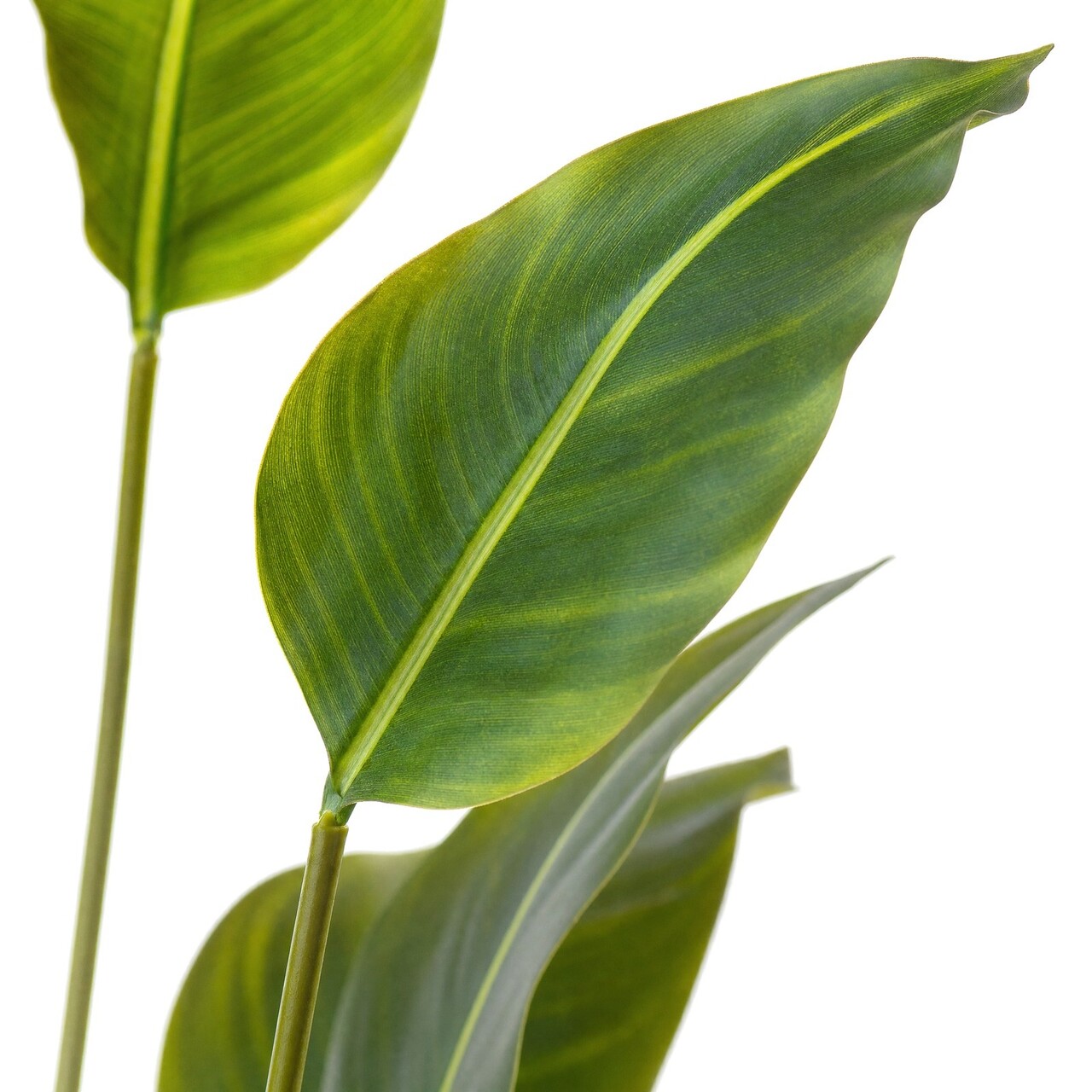 Strelitzia kunstplant 180 cm – brandvertragend