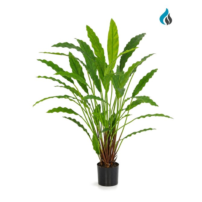 Coolplant Calathea kunstplant 77 cm – brandvertragend