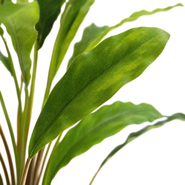 Calathea kunstplant 77 cm – brandvertragend