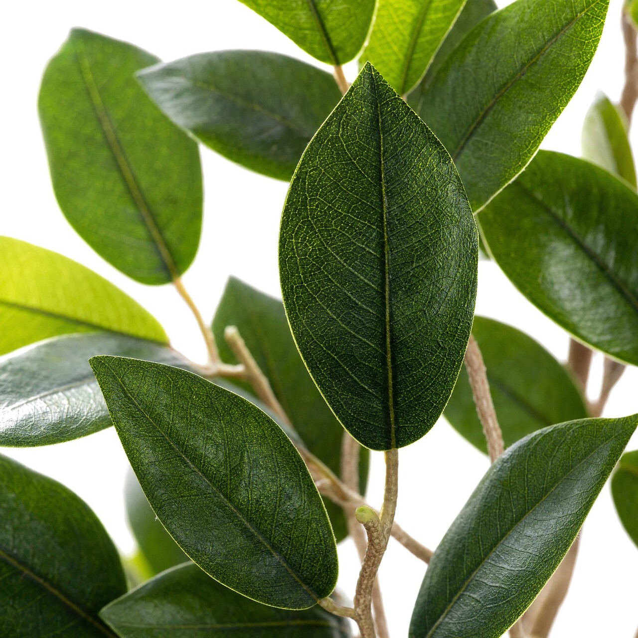 Ficus kunsttak 55 cm – brandvertragend