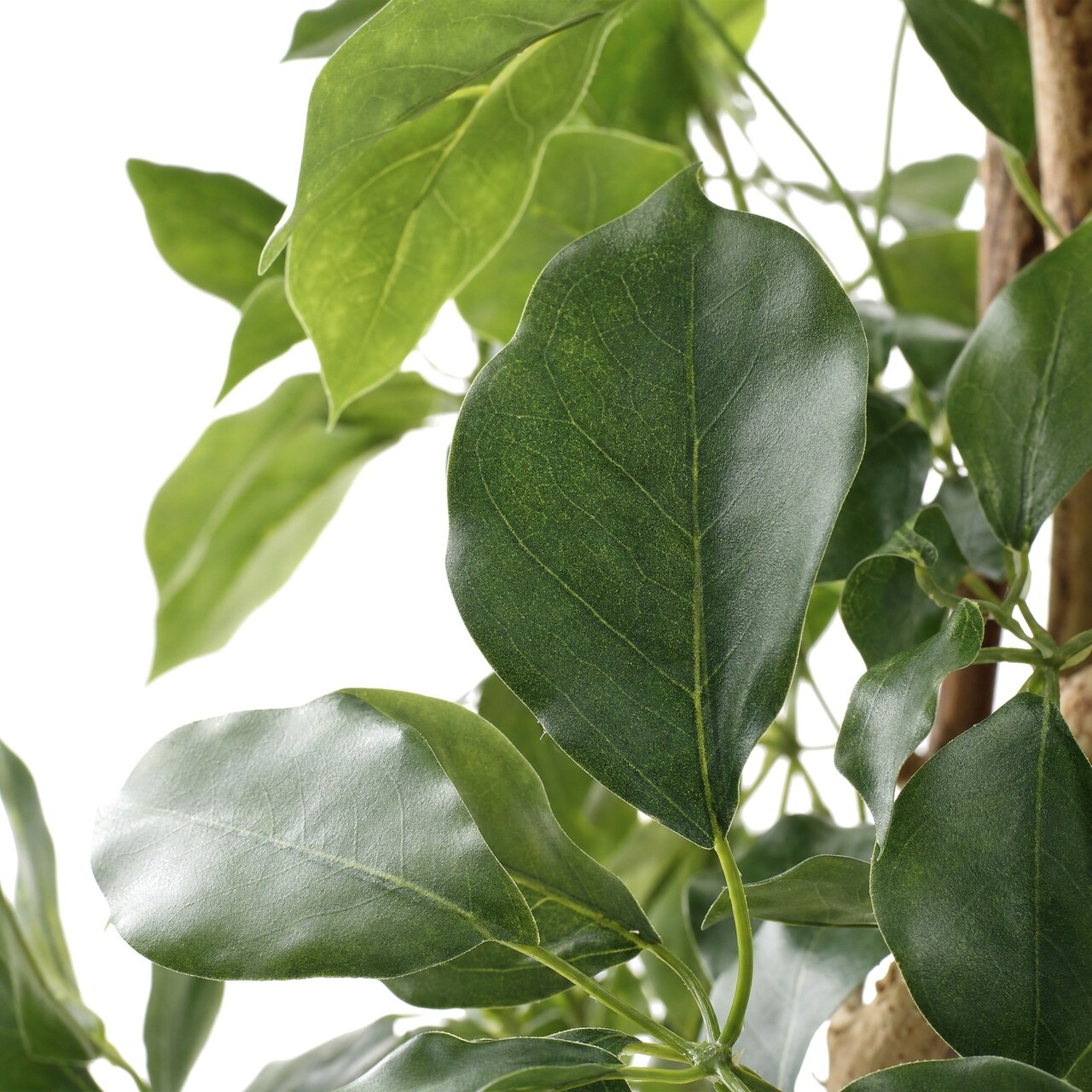 Schefflera kunstboom 120 cm – brandvertragend