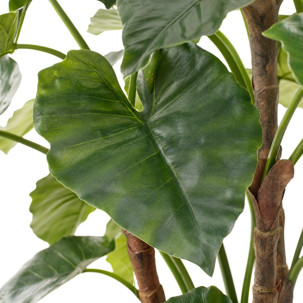 Alocasia Calidora kunstplant deluxe 165 cm – brandvertragend
