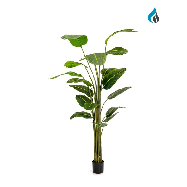 Coolplant Strelitzia kunstplant 240 cm – brandvertragend