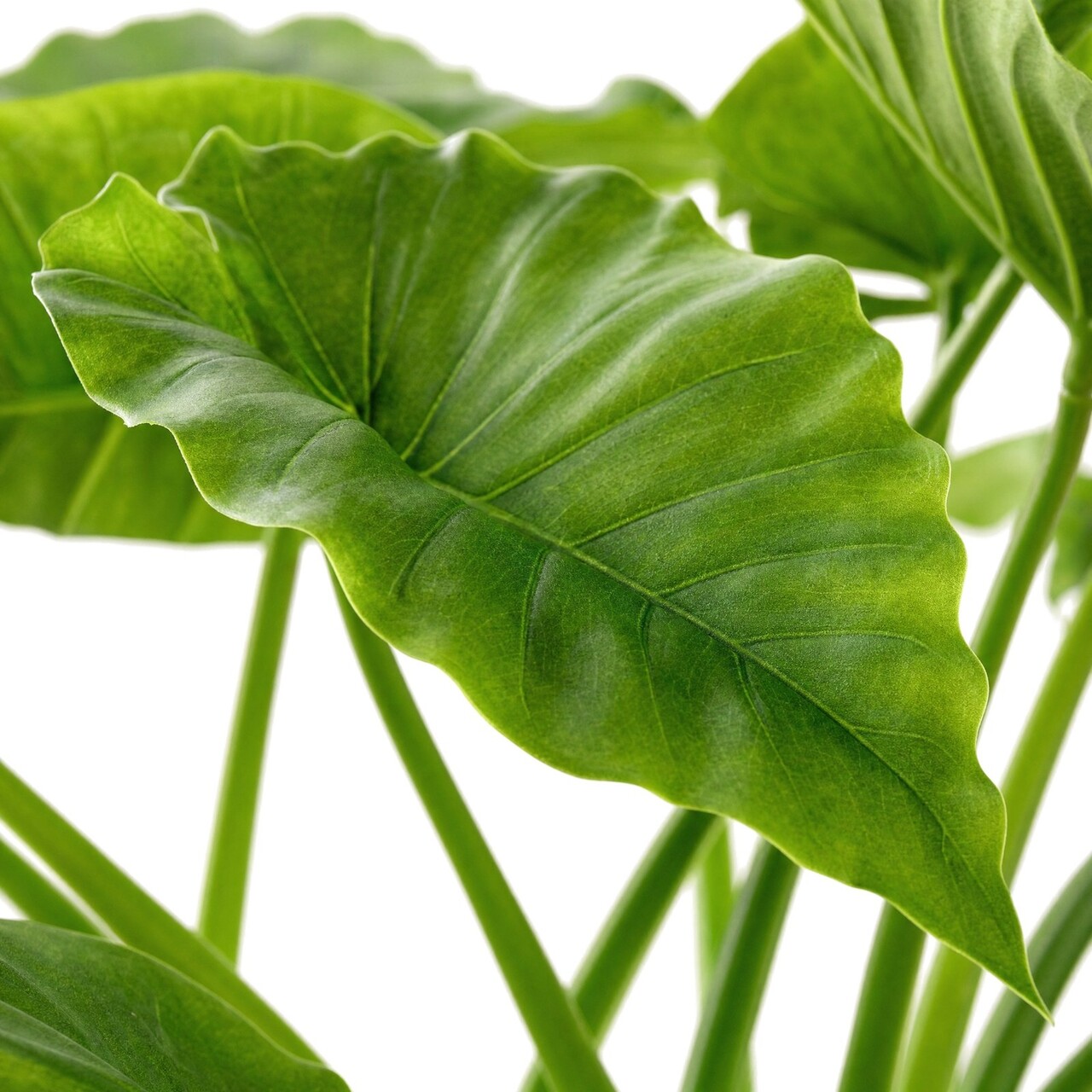 Alocasia Calidora kunstboeket 84 cm – brandvertragend