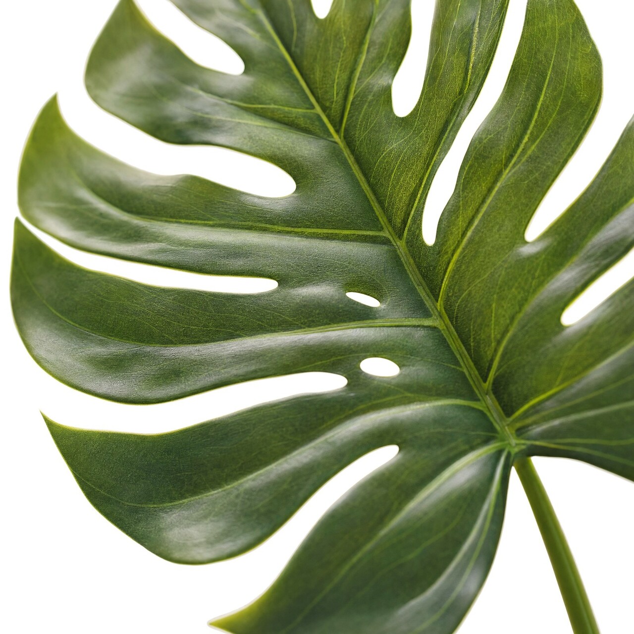 Monstera Kunstblatt 75 cm – schwer entflammbar