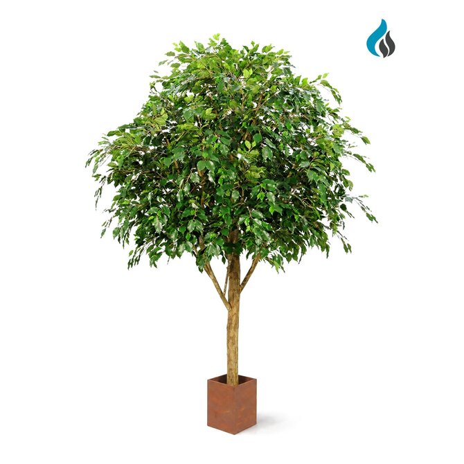 Coolplant Ficus Exotica kunstboom Giant 290 cm – brandvertragend