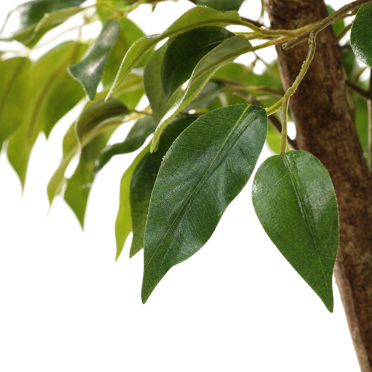 Ficus Exotica kunstboom Giant 290 cm – brandvertragend