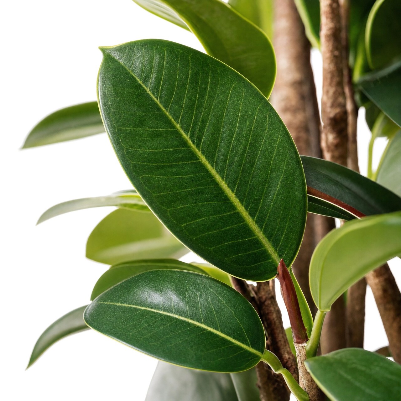 Philodendron Kunstpflanze Säule 155 cm – schwer entflammbar
