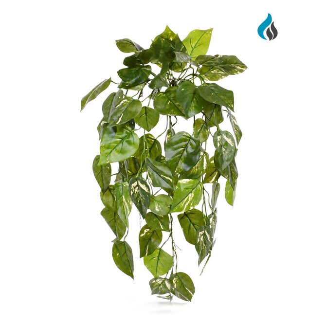 Coolplant Pothos kunsthangplant deluxe bont 70 cm – brandvertragend