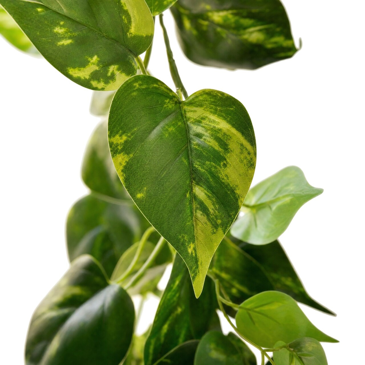 Pothos kunstslinger bont 220 cm – brandvertragend