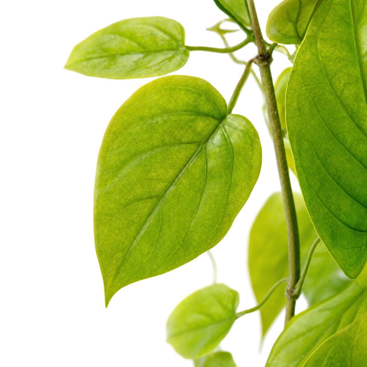 Pothos kunstslinger groen 182 cm – brandvertragend