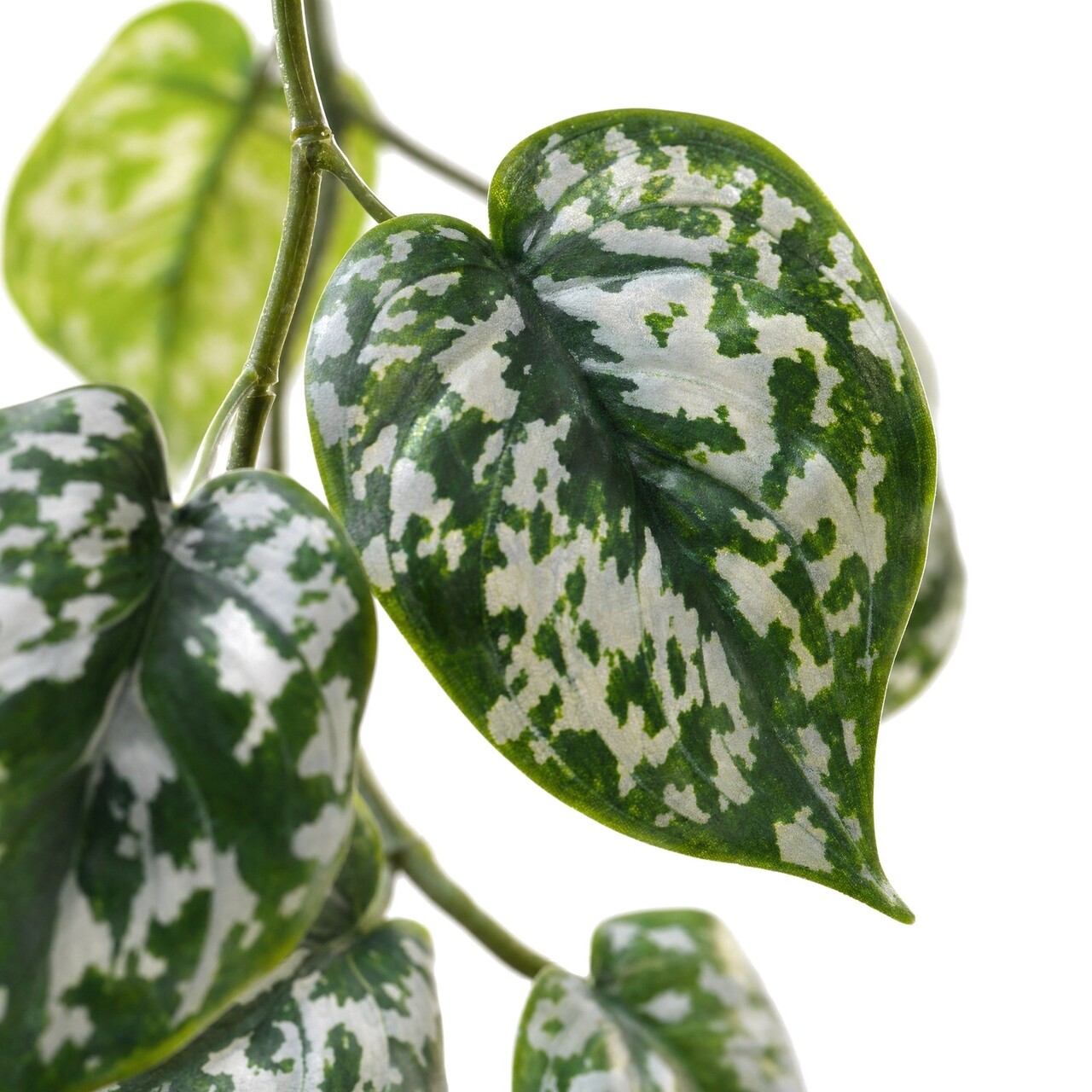 Scindapsus Kunstgirlande 155 cm – schwer entflammbar