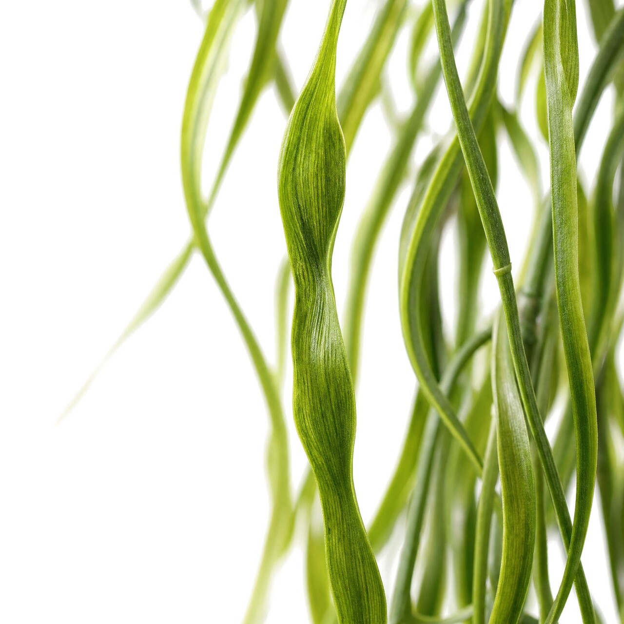 Gras kunsthangplant 93 cm – brandvertragend