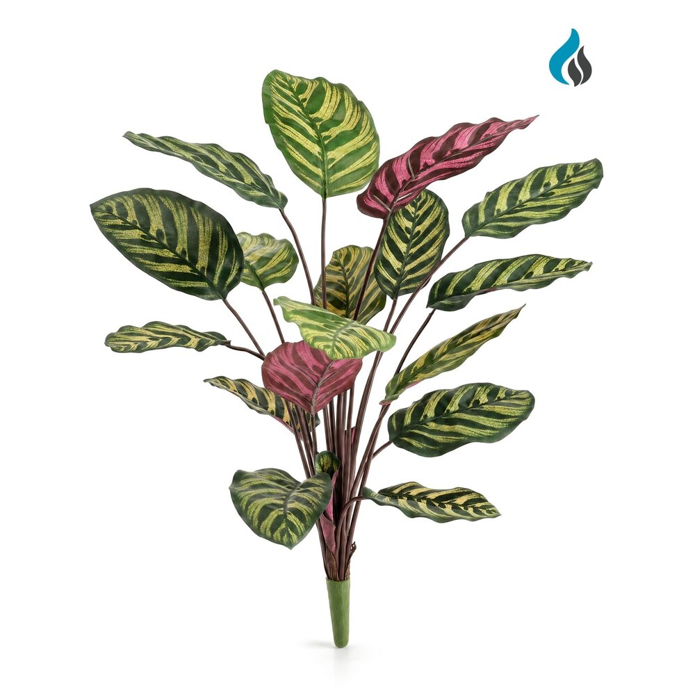 Coolplant Calathea Makoyana kunstboeket rood 60 cm – brandvertragend