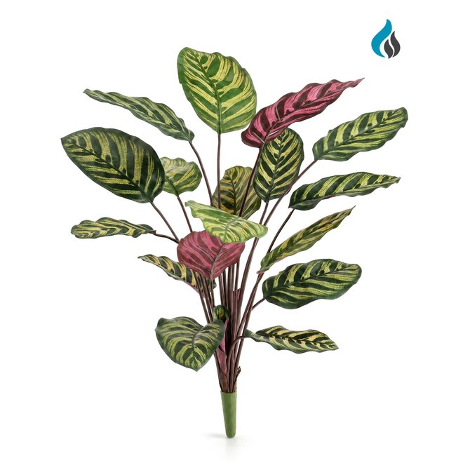 Coolplant Calathea Makoyana kunstboeket rood 60 cm – brandvertragend