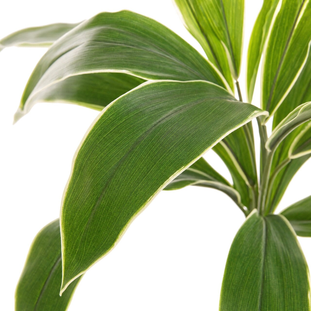 Cordyline kunstboeket geel-groen 62 cm – brandvertragend