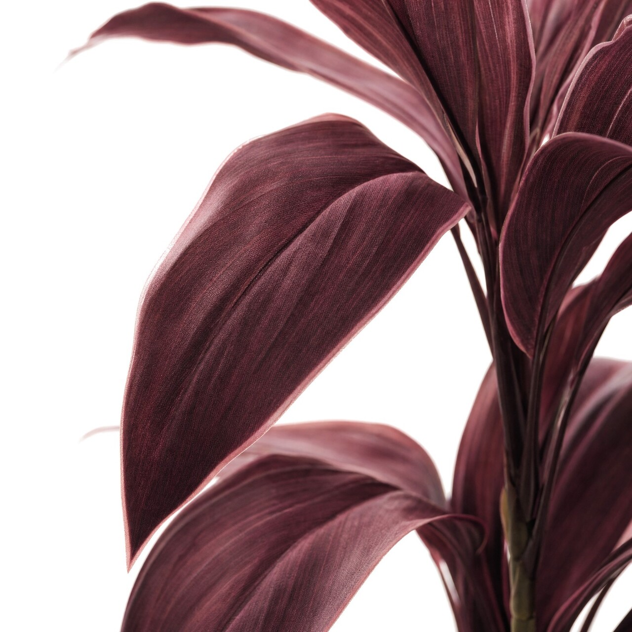 Cordyline kunstboeket rood 62 cm – brandvertragend