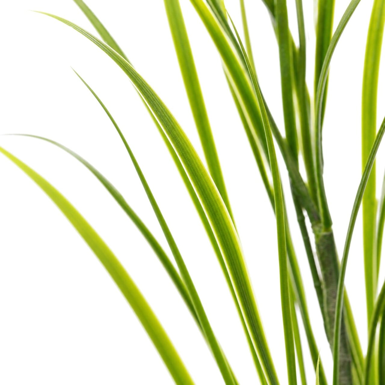 Gras kunstboeket groen 90 cm – brandvertragend