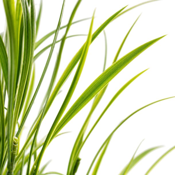 Gras kunstboeket 80 cm – brandvertragend