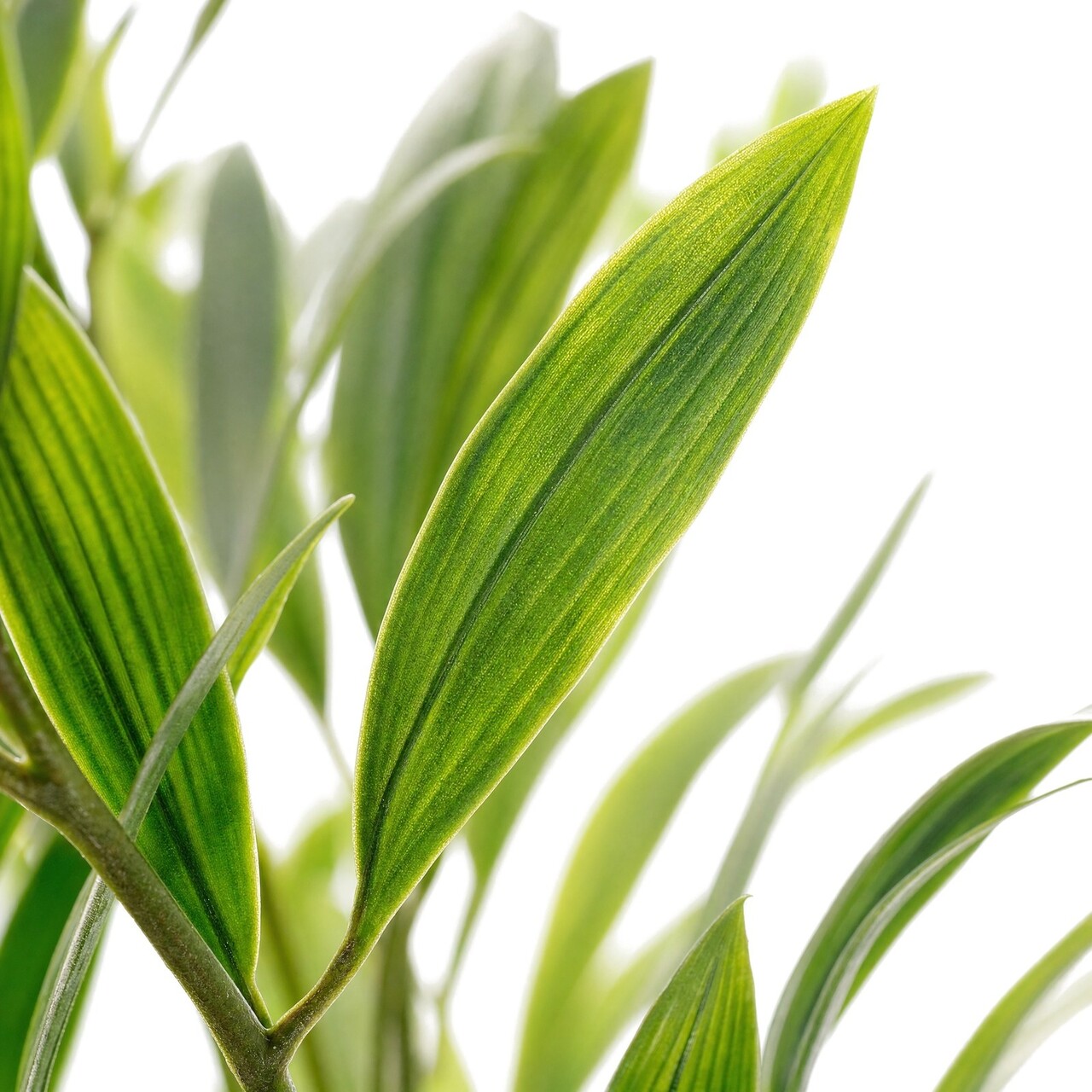 Parlour palm kunstboeket 66 cm – brandvertragend